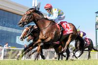 Three chances for Ellerton Zahra Racing to make a fast start to spring