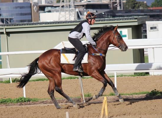Trackwork