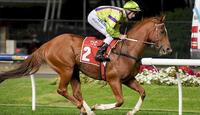 Sprinters head Ellerton Zahra Racing's powerful Flemington line-up