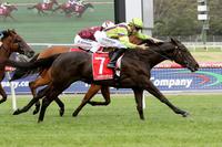 Light Romance closes 2017 in style at Sandown