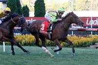 Freeze Over makes hot debut for Ellerton Zahra Racing at Valley
