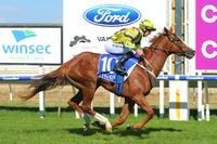 Impeccably-bred Crystal sprouts Wings at Wangaratta