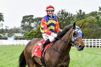 Rare Callow ride produces a Mornington victory