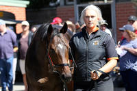 Dissident X Cyclone Stacey