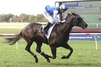 EZR with two-pronged attack on South Australian Derby