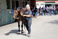 Dissident X Cyclone Stacey