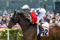 Caulfield and Melbourne Cup dream alive for Ellerton Zahra Racing