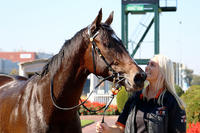 New and improved Creativity scores first-up at Caulfield