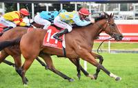 Exceltara's late charge brings Caulfield victory
