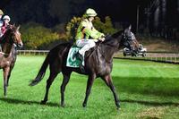 River flows through the wet at Cranbourne