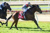 Grumpy Josephine completes EZR city double at Mornington