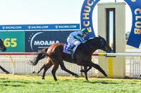 Blinkers do the trick for Cape To Cairo at Echuca