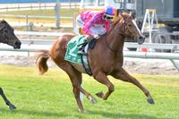 Farstar gets Ellerton Zahra Racing on the board in 2018/19