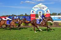 We certainly did See Him Fly in Tatura Cup