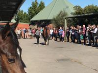 Stable BBQ - 20th October