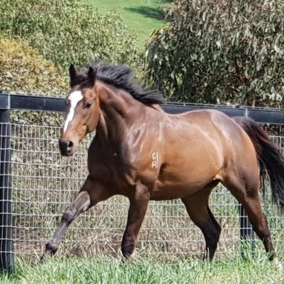 Spelling at Epona Park