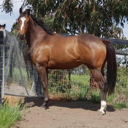 Spelling at Epona Park