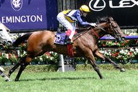 Fallen Empire strikes back at Flemington