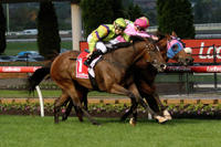 Matty fires again at The Valley