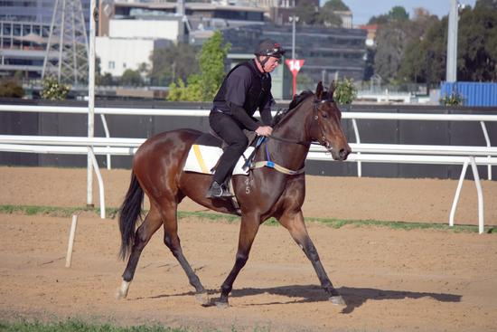 Zouper Star