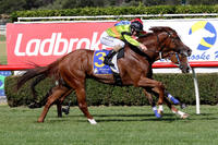 Quick back-up suits Burgonet perfectly at Sandown