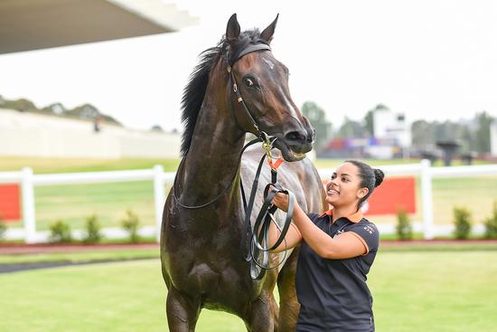 Sandown with Damian Lane