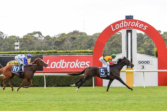 Sandown with Damian Lane