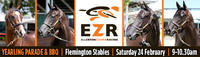 Yearling Parade & Stable BBQ this Sunday