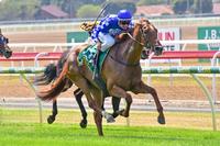 Shandy at full strength in impressive Geelong win