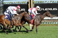 New and improved Zoutori powers to Anzac Day win at Flemington