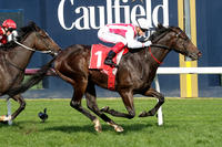 Brisbane now for Zoutori after Caulfield victory