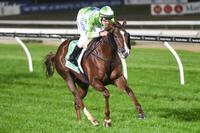 Consortium strolls to Cranbourne success