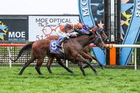 Brave Darmasun fights for Moe maiden win