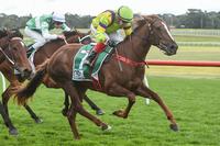 Some say Parma...but Parmie's a winner at Sandown