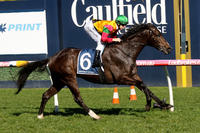 Age Of Chivalry stands up again at Caulfield