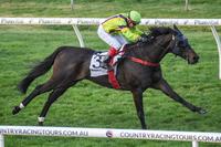 Confluence's confidence returns at Bendigo