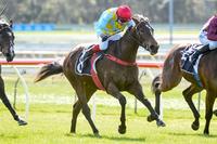 EZR quinella with smart three-year-olds at Bendigo