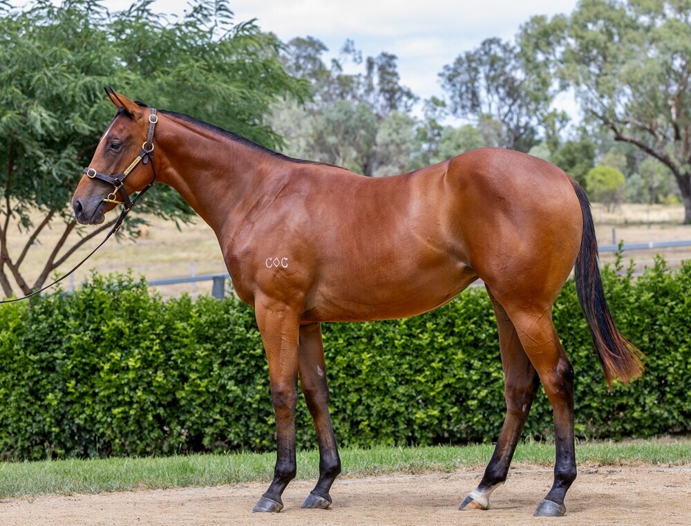 Spirit Of Boom X Iltizaam