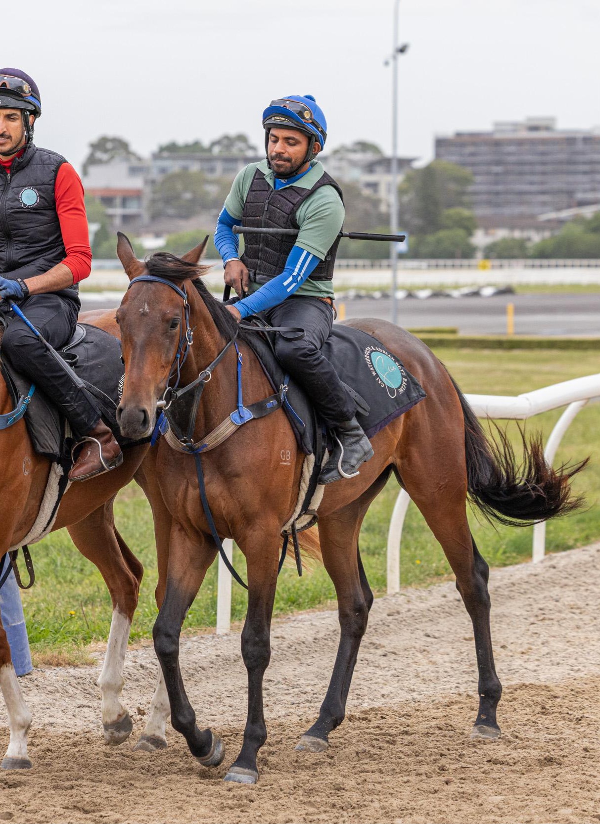 Kings Legacy x Ailuros