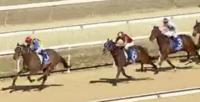 Moroccan Ruby Strong in First Up Win at Canberra