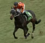 Prince Jacko Breaks His Maiden at Goulburn