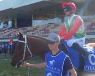 Confidential- A Nice Win at Canberra