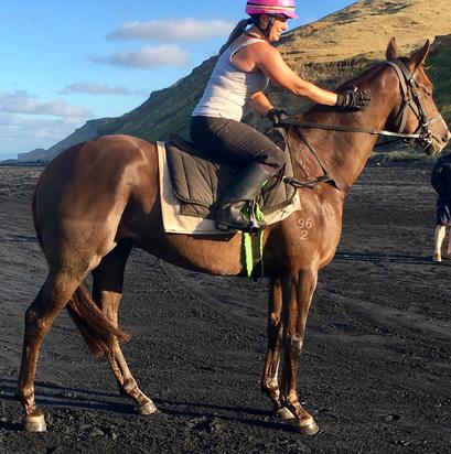 2017-01Jan30th Red Delight.jpg