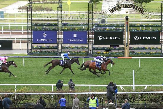 ID191008070739 (aarp145338) Royal Ace Flemington10082019.JPG