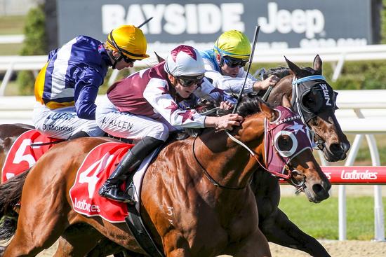 2018-11Nov4th 04112018morningotn_8_004 Royal Ace.JPG