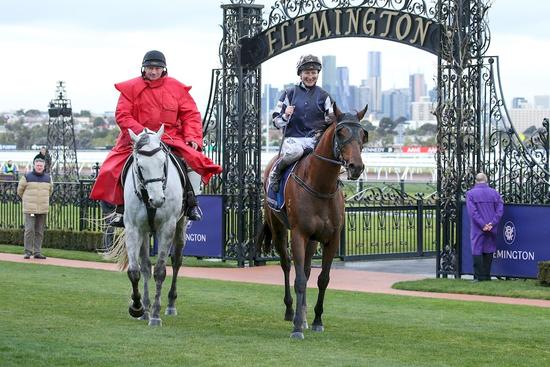 ID191008070358 Royal Ace Flemingon 10082019 rp145376.JPG