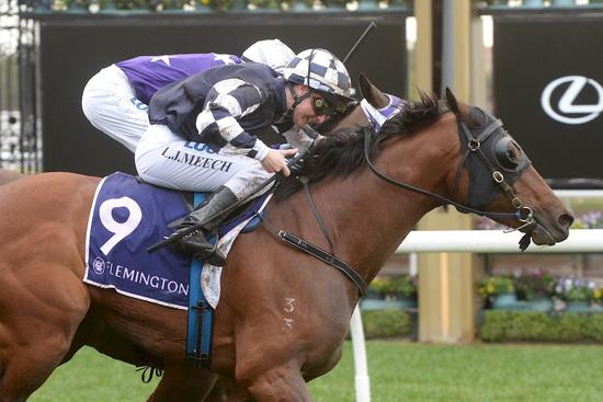 ID191008065416 RoyalAce Flemington 10082019 rh7_2482.JPG