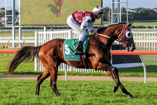 02052017 Wnbl bn2746 (170205164501).JPG