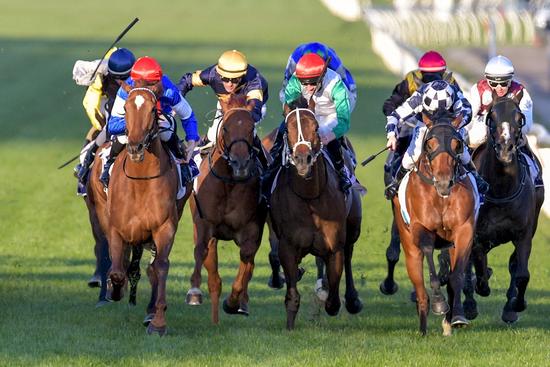 ID191409075154 Royal Ace Fleminton 14092019 jd04758.JPG