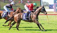 Zangief scores first win at Bunbury